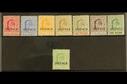 1902-06 SPECIMEN SETS KEVII 1902 Definitive "SPECIMEN" Opt'd Complete Set, SG 62s/70s & 1906 ½d "SPECIMEN", SG 71s, Fine - Andere & Zonder Classificatie