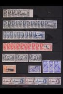 1937-51 EX-DEALERS MINT STOCK Presented On Stock Pages With A Duplicated Range That Includes 1937 Coronation (x30+ Sets) - Falklandeilanden