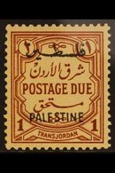 OCCUPATION OF PALESTINE POSTAGE DUE. 1948 1m Red - Brown, No Wmk, SG PD 22, Never Hinged Mint For More Images, Please Vi - Jordanië