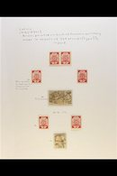 1918-1929 EXTENSIVE FINE MINT COLLECTION An Attractive Collection With A Degree Of Speciality With Perforation Variants, - Letland