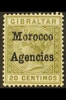 1898-1900 20c Olive-green With OVERPRINT DOUBLE, SG 3ca, Very Fine Mint. For More Images, Please Visit Http://www.sandaf - Autres & Non Classés