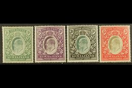 1904 1r, 2r, 3r, And 5r Definitive Top Values, SG 41/44, Very Fine Mint. (4 Stamps) For More Images, Please Visit Http:/ - Somaliland (Protectorat ...-1959)