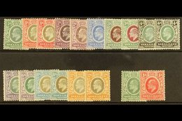1905-11 KEVII Defins, Wmk MCA Complete Set Plus All Of The Additional Listed Chalky Paper Values, SG 45/59, Fine Mint (1 - Somalilandia (Protectorado ...-1959)