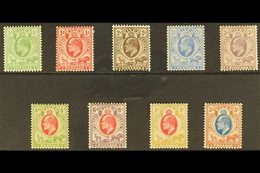 ORANGE RIVER COLONY 1903 Ed VII Set Complete, SG 139/147, Very Fine Mint. (9 Stamps) For More Images, Please Visit Http: - Non Classificati