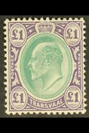 TRANSVAAL 1903 Ed VII £1 Green And Violet, Wmk CA, SG 258, Very Fine Mint. For More Images, Please Visit Http://www.sand - Non Classificati