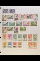1952-2005 COLLECTION. A Mint & Used (mainly Mint) Range With Some Duplication (mainly As Multiples) Presented On Album P - Tristan Da Cunha