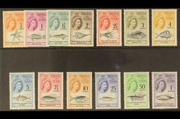 1961 Marine Life (South African Currency) Complete Definitive Set, SG 42/54, Never Hinged Mint. (13 Stamps) For More Ima - Tristan Da Cunha