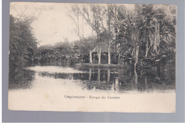 MAURITIUS MAURICE  Pamplemousses, Le Kiosque Des Gouramis,  1906 OLD POSTCARD - Maurice