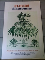 Affiches - Saint Denis DP 93 - Fleurs D'Automme Plantation De Crysanthèmes Dans La Ville - Posters