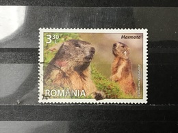 Roemenië / Romania - Dieren (3.30) 2013 - Used Stamps