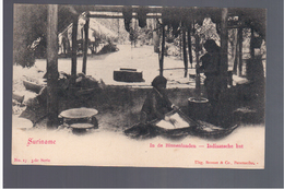 SURINAME In De Binnenlanden Indiaansche Hut Ca 1905 OLD POSTCARD - Surinam