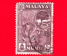 MALESIA - Malaya - MALACCA - Usato - 1960 - Tigre - Tiger (Panthera Tigris) - 10 - Malacca