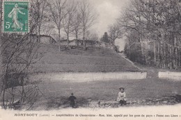 (45) MONTBOUY (745 Ha) Amphitéâtre De Chenevières . Mon. Hist. Appelé Par Les Gens Du Pays "Fosse Aux Lions " - Other & Unclassified