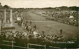 Royaume-Uni - Angleterre - Cheshire - Hippisme - Hippodrome - Champ De Courses - Chevaux - Chester - The Race-course - Chester