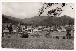 DAMBACH-- Vue Générale ......à Saisir - Dambach-la-ville