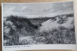 NOEDSEEBAD WANGEROOGE - In Den Dunen - Les Dunes ( Allemagne ) - Wangerooge