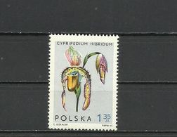 Poland 1965 - Flowers, Orchids, MNH - Sonstige & Ohne Zuordnung