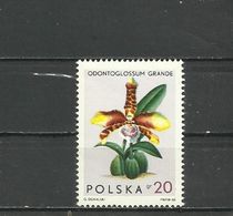 Poland 1965 - Flowers, Orchids, MNH - Autres & Non Classés