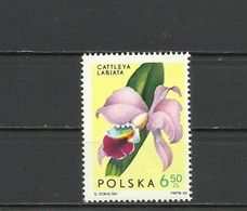 Poland 1965 - Flowers, Orchids, MNH - Otros & Sin Clasificación