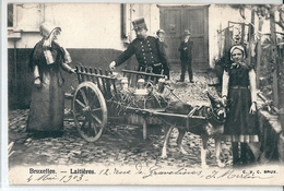 BRUXELLES   (  Belgique )   Laitieres,  Attelages Chiens .       T.B.E. - Artigianato