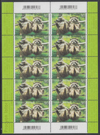 !a! GERMANY 2019 Mi. 3434 MNH SHEET(10) - Juvenile Raccoons - 2011-2020