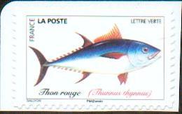France 2019 - Thon Rouge / Bluefin Tuna / Thunnus Thynnus - MNH - Fishes