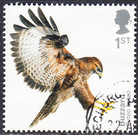 2019   Birds Of Prey (2019) - Common Buzzard  1st  Used - Used Stamps