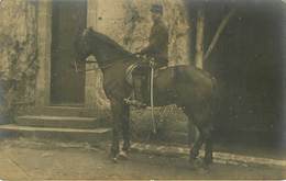 Militaria - Militaires - Animaux - Chevaux - Régiments - Carte Photo - état - Sonstige & Ohne Zuordnung