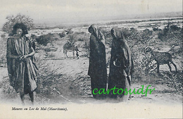 MAURITANIE - MAURES AU LAC DE MAL SUPERBE - Mauretanien