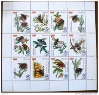 BIELORUSSIE Abeilles, Abeille, Insectes, Bloc Collectif 12 Valeurs Neuf Sans Charniere ** (MNH) Bloc Emis En 1999 - Honingbijen