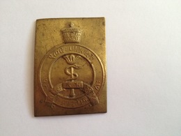 Pin Armée éthiopienne, époque De Haile Selassie (service De Santé) Grand 40 Mm (chute De Médaille) - Medical Services