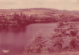 07,ARDECHE,ANNONAY,CARTE PHOTO COULEUR RARE,COMBIER - Annonay