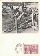 AOF - SENEGAL - IONYL - CARTE MAXIMUM - SENEGAL - TISSERAND - METIER. - Sudan (1954-...)
