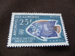TIMBRE   COMORES       N  48        COTE 5,00  EUROS    OBLITÉRÉ - Used Stamps