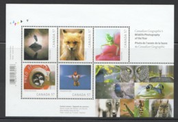 2010  Wildlife Photography  Souvenir Sheet Of 5 Different  Sc 2388  MNH - Neufs