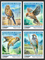 GUINEA REP. 2019 MNH Sparrows Spatzen Moineaux 4v - OFFICIAL ISSUE - DH1918 - Sparrows