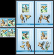 GUINEA REP. 2019 MNH Sparrows Spatzen Moineaux 4v+S/S - IMPERFORATED - DH1918 - Mussen
