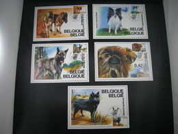 BELG.2002 Carte Maximum 3064-3068 - Chiens De Race Belges 100ste Verjaardag Van De Koninklijke Kynokogische Maatschappij - 2001-2010