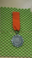 Medaille / Medal - Medaille - Queen's Day - Koninginnedag 29-4 -1963 Haaksbergen.  - The Netherlands - Royal/Of Nobility