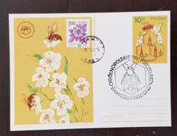 POLOGNE Abeilles, Abeille, Bees, Abejas, Ruche. Entier Postal Avec Obliteration Thematique 1990 - Honeybees