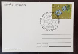 POLOGNE Abeilles, Abeille, Bees, Abejas, Ruche. Entier Postal Illustré Avec Oblitération Thematique 1986 - Honingbijen