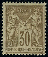 Neuf Avec Charnière N° 80, 30c Brun-jaune, Type II, TB - Otros & Sin Clasificación