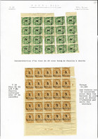 Neuf Avec Charnière N° 36, 2m S/5c Type Blanc, Bloc De 20 Ex. Avec Séparation Dont Environ 10 Ex. Surcharge Très Décalée - Sonstige & Ohne Zuordnung