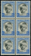 Neuf Sans Charnière N° 234/38, La Série Caritas 1931, Blocs De 6, TB - Sonstige & Ohne Zuordnung