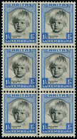 Neuf Sans Charnière N° 234/38, La Série Caritas 1931, Blocs De 6, TB - Autres & Non Classés