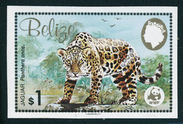Neuf Sans Charnière N° 650/53, WWF, Le Jaguar, La Série De 4 Valeurs ND, T.B. - Other & Unclassified
