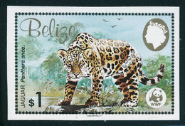 Neuf Sans Charnière N° 650/53, WWF, Le Jaguar, La Série De 4 Valeurs ND, T.B. - Andere & Zonder Classificatie