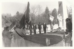 MUSSY SUR SEINE - 1989 - LE 71° ANNIVERSAIRE DE L'ARMISTICE - BELLE ET RARE PHOTO - 2 SCANNS - TOP !!! - Mussy-sur-Seine