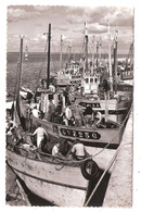 Delcampe - Loctudy (29 - Finistère)  Le Port - Loctudy