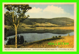 GASPÉ, QUÉBEC - DARTMOUTH RIVER BRIDGE - C.N.R. PHOTO - PONT DE LA RIVIÈRE DARTMOUTH - PECO - - Gaspé